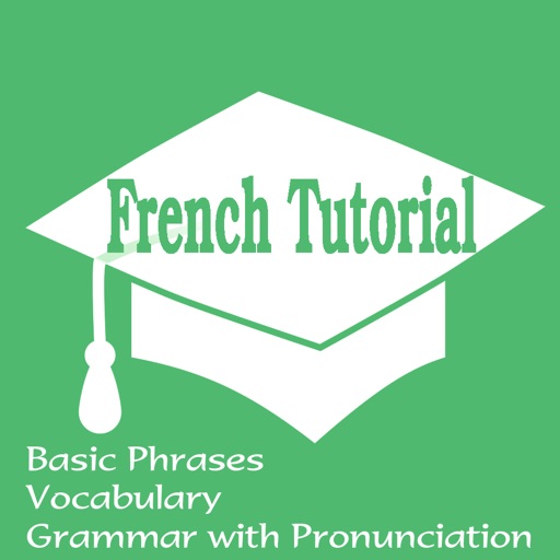 French Tutorial: Basic Phrases, Vocabulary and Grammar with Pronunciation icon