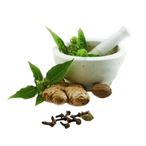 Natural Ayurvedic Healer Free icon