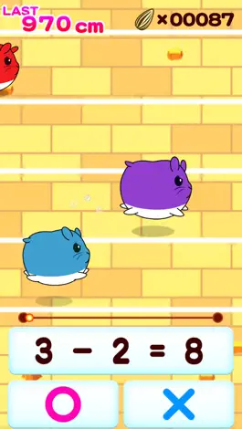 Game screenshot Let's Answer! Hamster Race apk