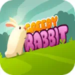 Greedy Rabbit Bunny App Problems