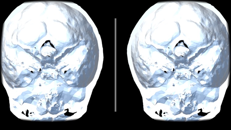 VR Body Guide screenshot-3