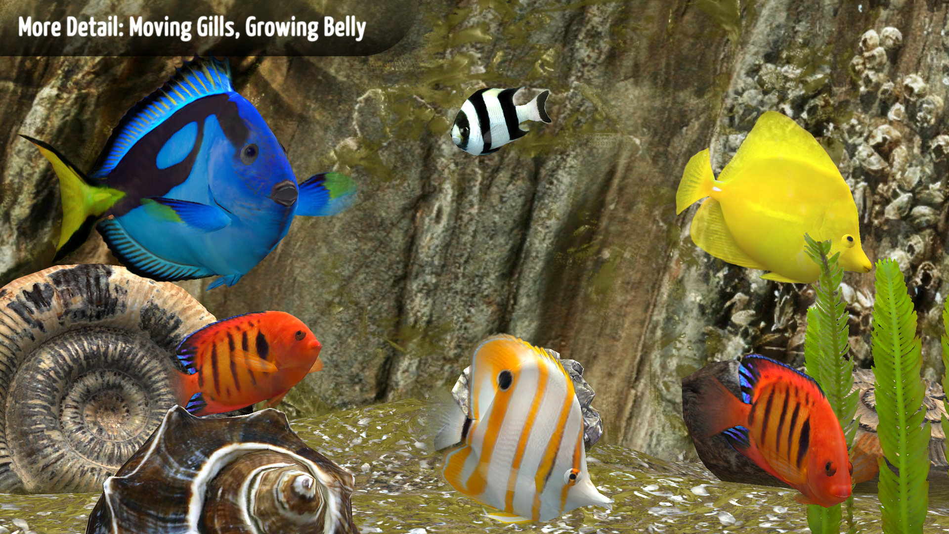 MyReef 3D Aquarium TV screenshot 4