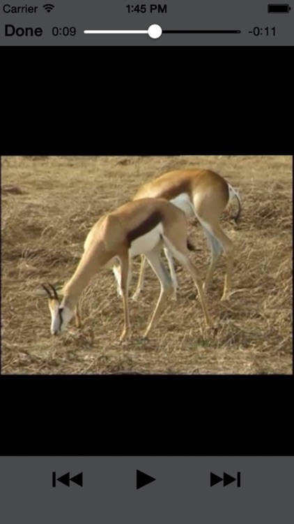 Sasol Natuurlewe vir Beginners (Lite): Blitsfeite, foto's en video's van 46 Suider-Afrikaanse diere screenshot-3