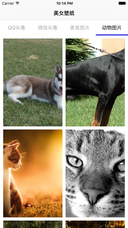 美女壁纸-图片大全