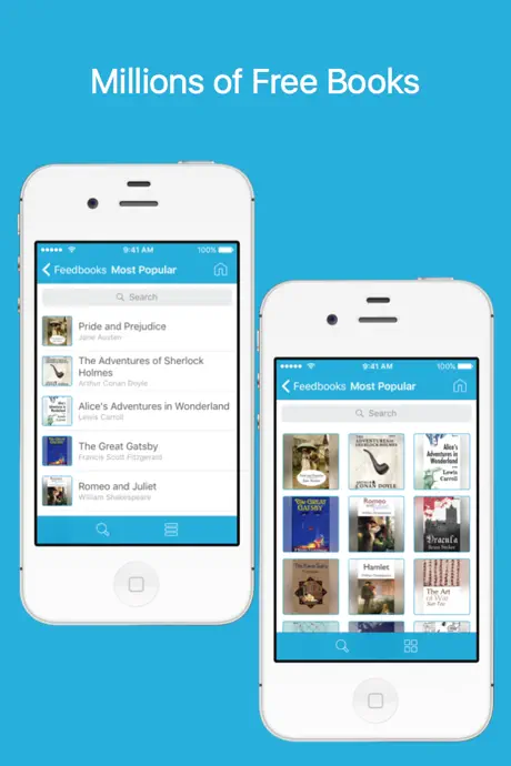 EPUB Reader - Reader for epub format