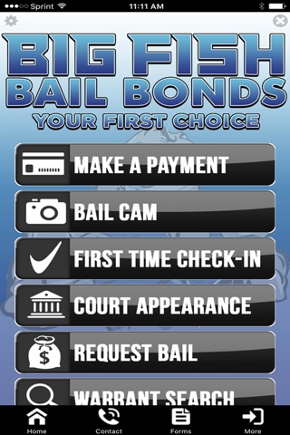 Big Fish Bail Bonds screenshot 3