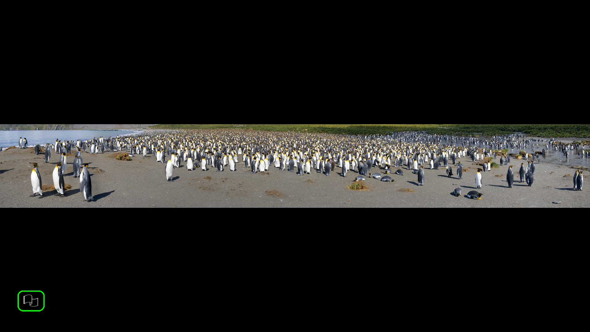 Album Antarctic