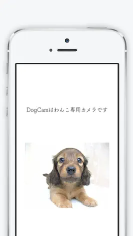 Game screenshot Dog-Lover-Cam mod apk