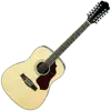 12-String Guitar Tuner Simple