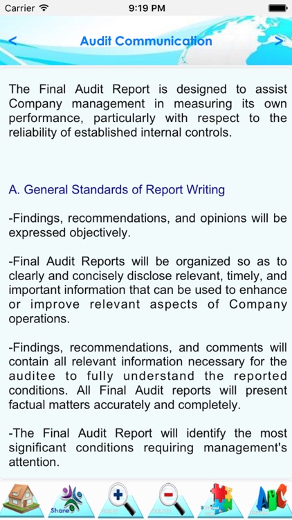 Internal Audit Manual & Process screenshot-3