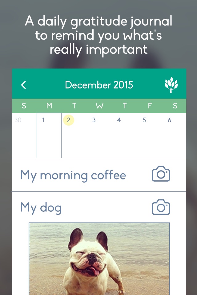 Gratitude Journal - Daily Diary and Mood Tracker for a Happier, More Grateful, and More Mindful Life screenshot 2