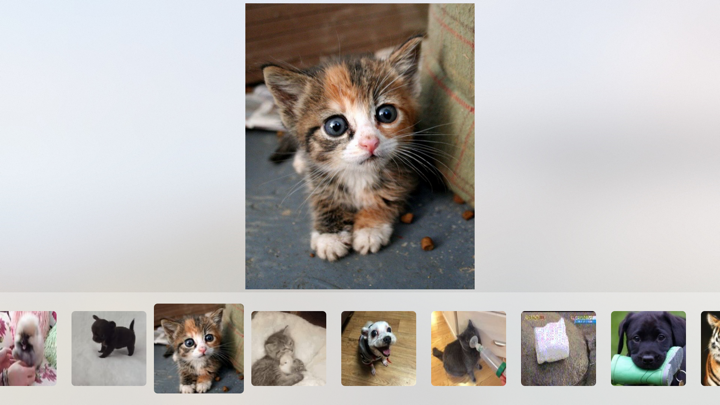 Screenshot #3 pour Cuddle - Cute Animal Pictures and Videos
