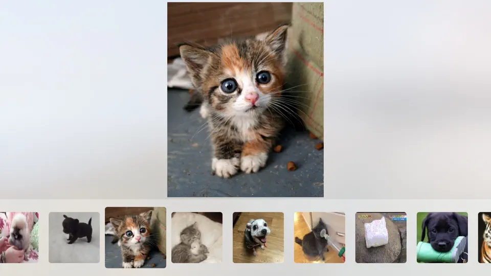 Cuddle - Cute Animal Pictures And Videos iPhone Ekran Görüntüsü 3