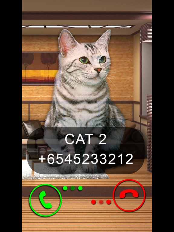 Screenshot #5 pour Fake Video Call Cat