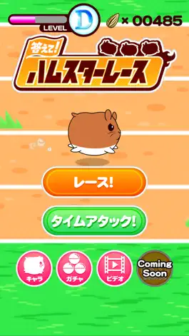 Game screenshot Let's Answer! Hamster Race mod apk