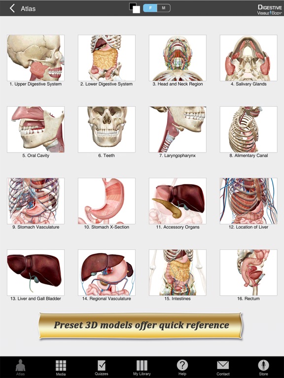 Digestive Anatomy Atlas: Essential Reference for Students and Healthcare Professionalsのおすすめ画像2