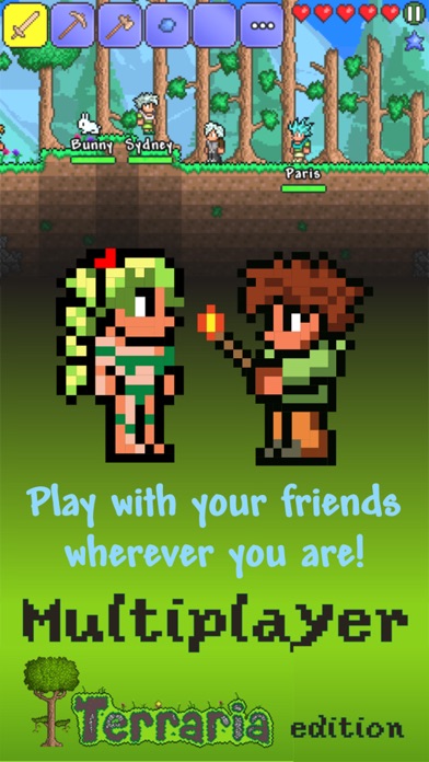 Multiplayer Terraria edition スクリーンショット1