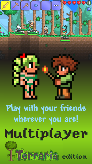 screenshot of Multiplayer Terraria edition 1