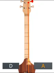 dulcimer tuner simple ionian ipad images 3