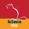 Kiwa Inspecta PED Calculator Kiwa Inspecta PED Calculator