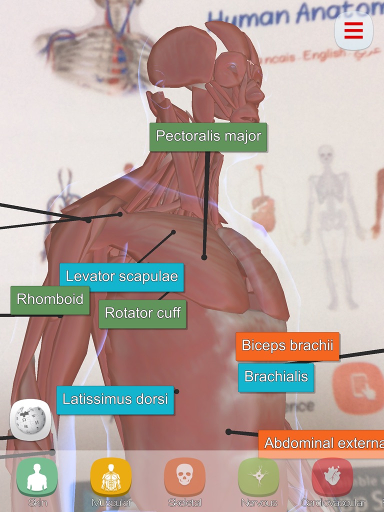 【图】Anatomy AR(截图3)