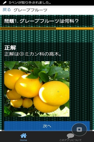 アロマ検定【１級】精油（前編） screenshot 2