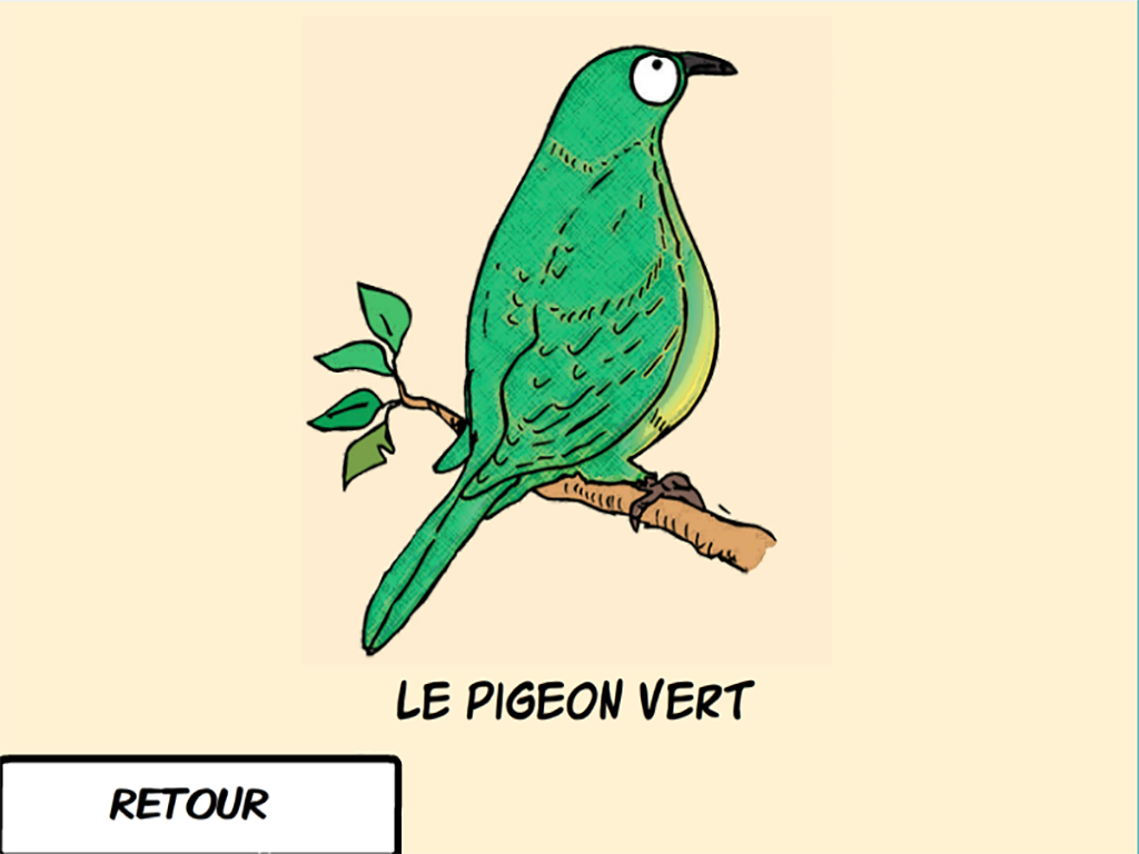 Les oiseaux du Caillou - NC
