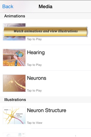 Brain and Nervous Anatomy Atlas: Essential Reference for Students and Healthcare Professionals screenshot 4