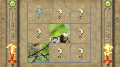 Screenshot #2 pour FlipPix Jigsaw - Sibs