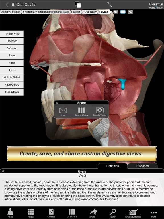 Digestive Anatomy Atlas: Essential Reference for Students and Healthcare Professionalsのおすすめ画像3