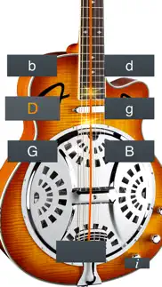 dobro tuner simple iphone screenshot 2