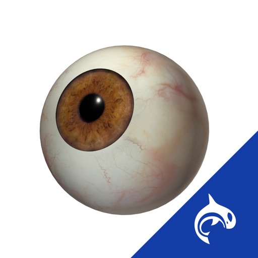 Eye Decide - Patient Engagement Tools for Healthcare Providers iOS App