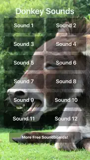 donkey sounds! iphone screenshot 1