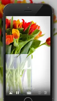 photoframe online iphone screenshot 2