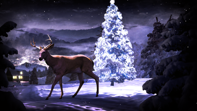 Christmas Mood - With Relaxing Music and Songs Screenshot