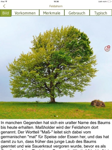 Screenshot #6 pour Bäume & Sträucher bestimmen – entdecken Sie die Natur und erkennen Sie welche Pflanzen, Blätter und Hölzer Sie umgeben