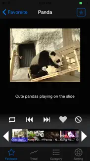 looptube - search and autoplay iphone images 2