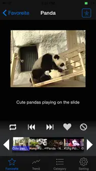 LoopTube - Search and Autoplay iphone bilder 1