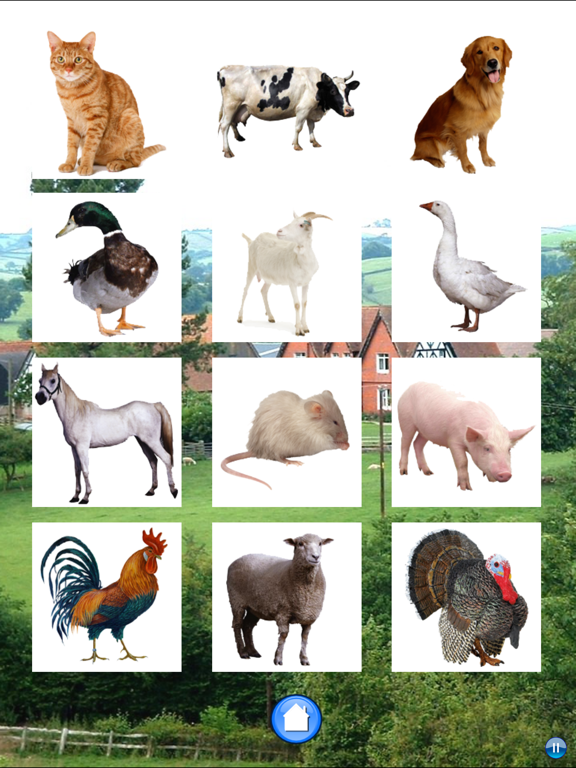 Screenshot #5 pour Sons des animaux de ferme pour les enfants
