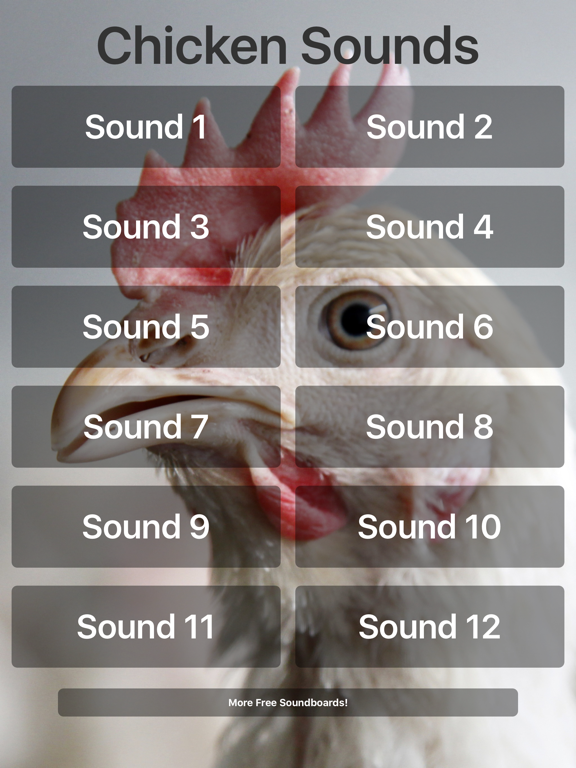 Chicken Sounds! iPad screenshot 1 - Entertainment app