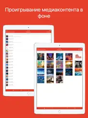 hdplayer pro - видео и аудио плеер айпад изображения 2