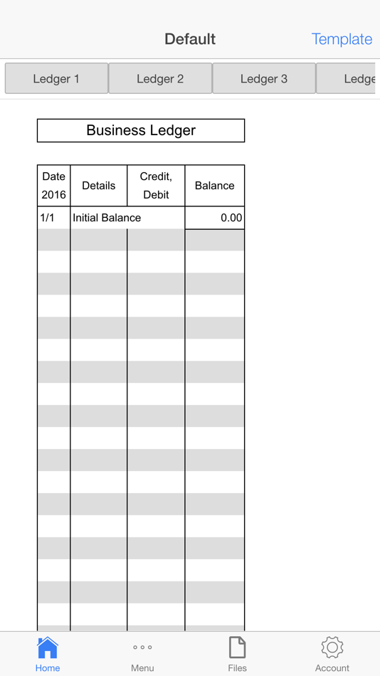 Account Ledger Pro - 11.0 - (iOS)