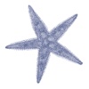 Starfish Vacation Rentals