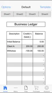 business ledger problems & solutions and troubleshooting guide - 2