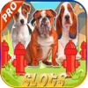 AAA Casino Slots Of Dogs: Spin Slots Machines Free HD