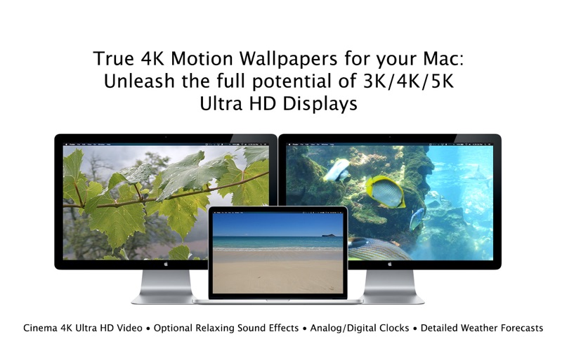 serenity 4k - live wallpaper problems & solutions and troubleshooting guide - 4