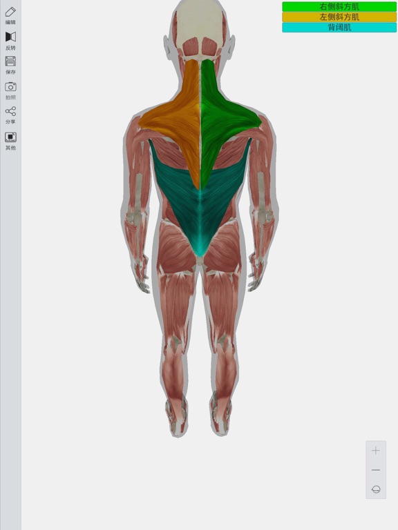 Screenshot #4 pour 3D人体模型