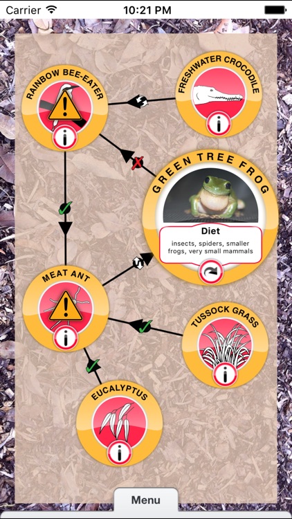 Food Web