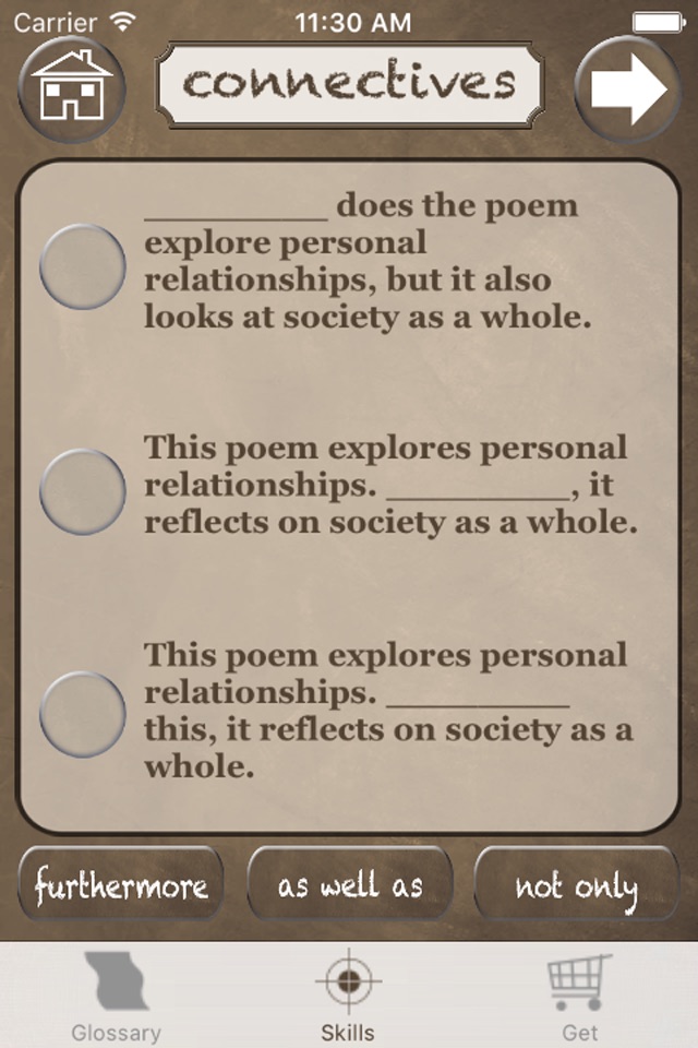 English Literature Success screenshot 3