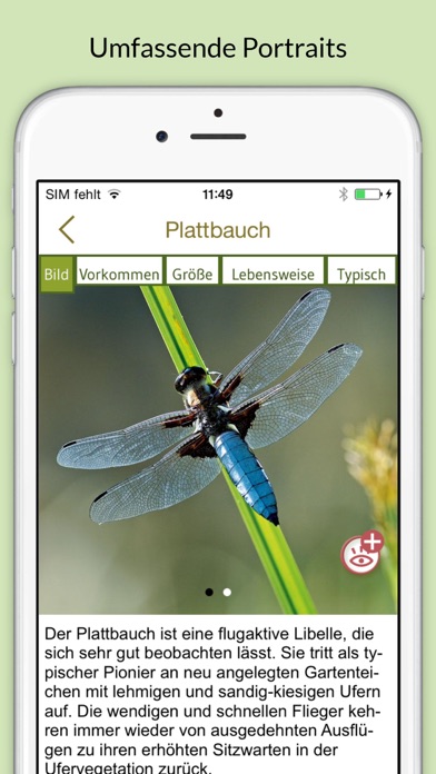 Screenshot #3 pour Insekten & Schmetterlinge bestimmen – entdecken Sie die 100 wichtigsten Arten in der Natur und im eigenen Garten